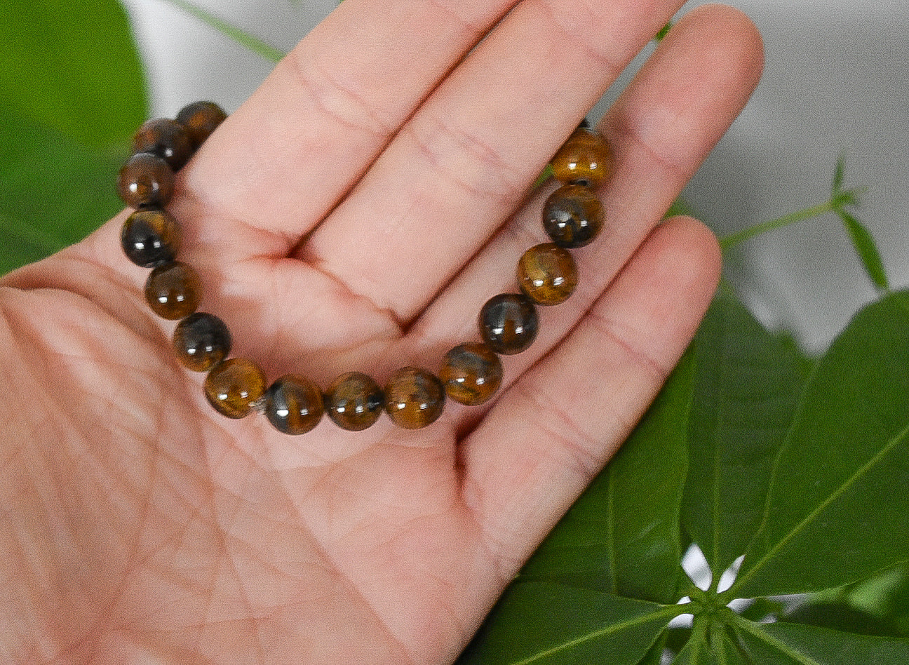 Tigers eye