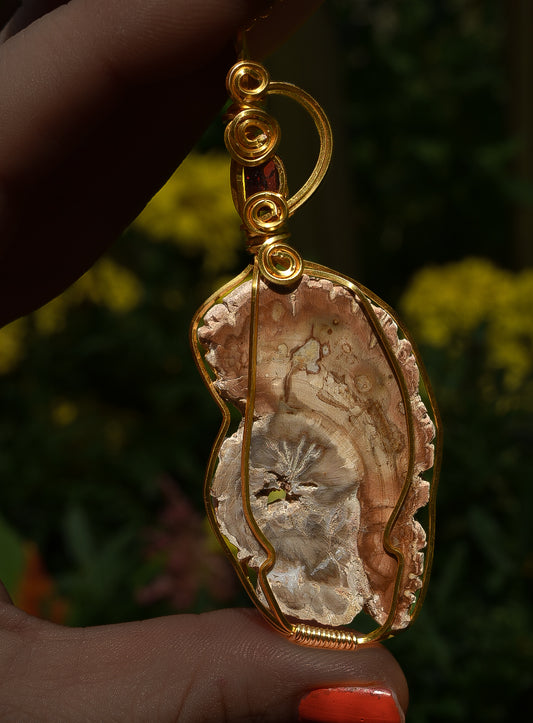 Wood slice