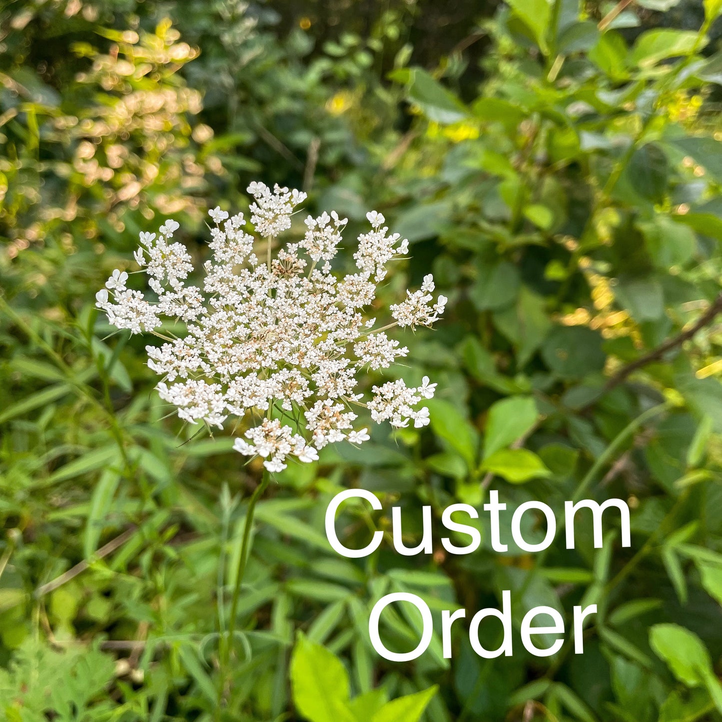 Custom Order- Michelle