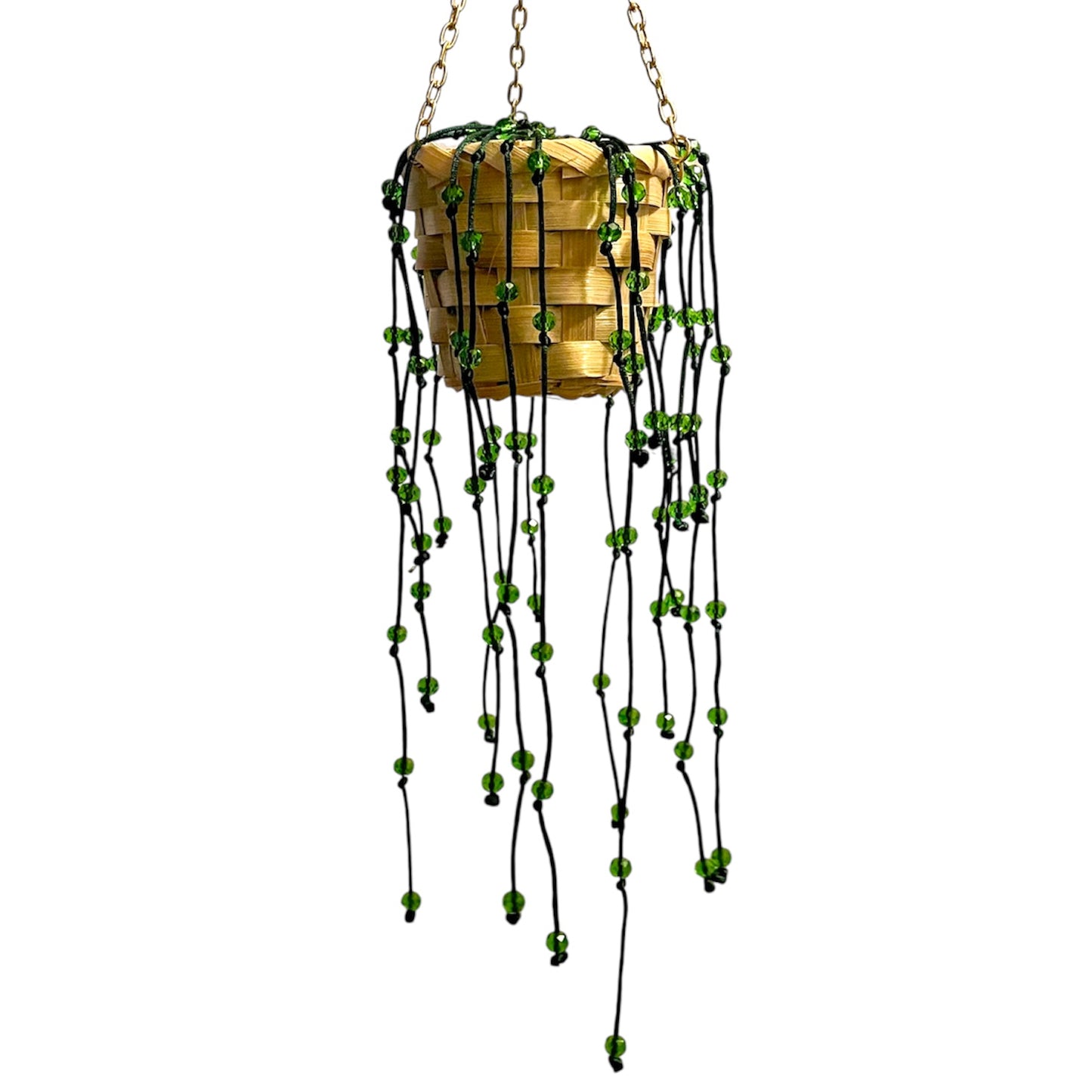 String of pearls- forever plants