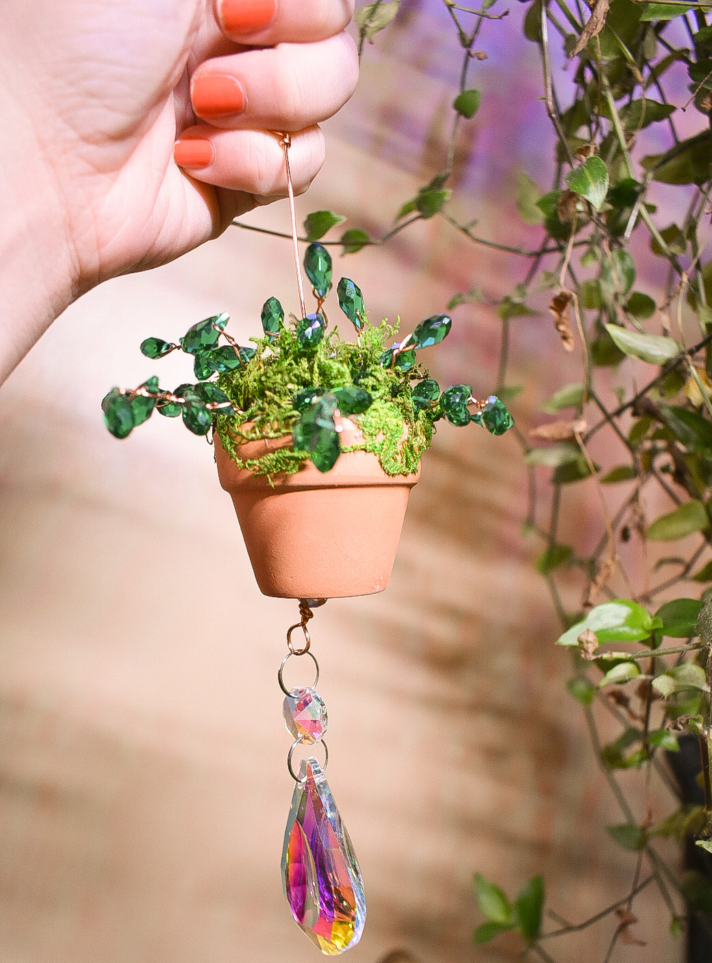 Plant me in the windowsill