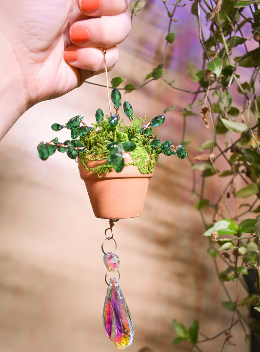 Plant me in the windowsill